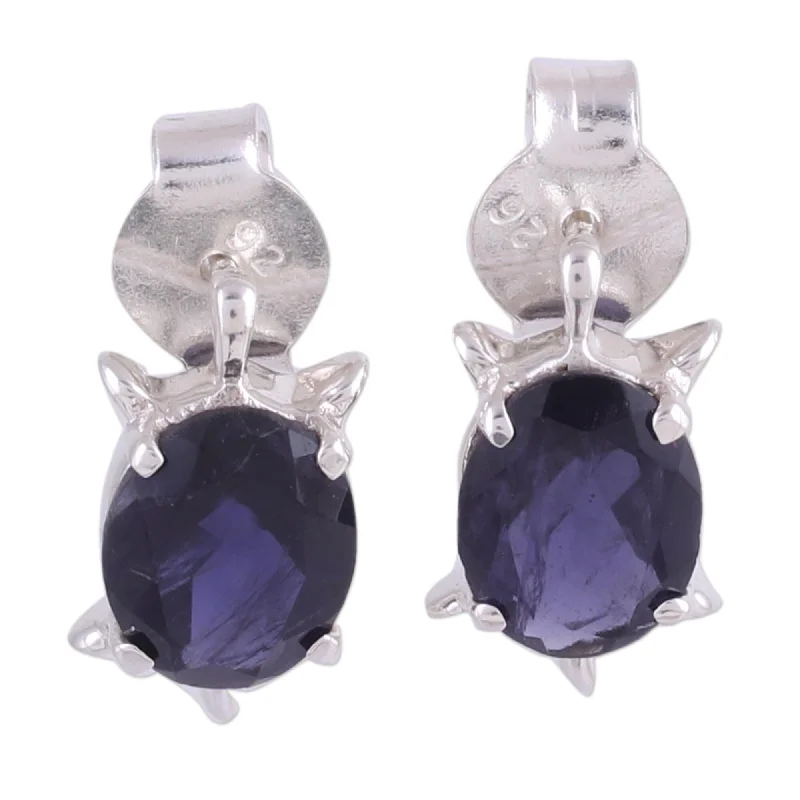 Novica Handmade Crystal Turtle Iolite Button Earrings